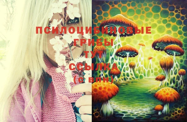 таблы Алексеевка
